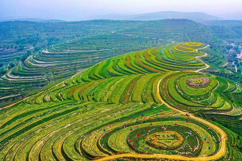 守護(hù)綠水青山 厚植最美底色——固原市生態(tài)環(huán)境保護(hù)綜述