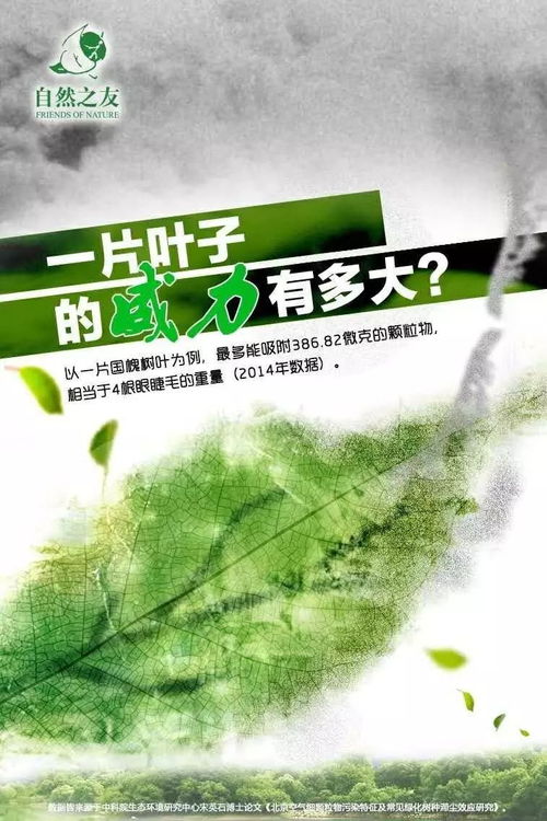 像對待生命一樣對待生態(tài)環(huán)境——探討環(huán)保項(xiàng)目的有效傳播路徑與生態(tài)環(huán)境材料實(shí)踐