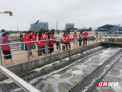 六五環(huán)境日 全省生態(tài)環(huán)保組織巡河護(hù)水，鳥類影展共繪生態(tài)畫卷